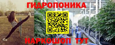 тгк Шелехов