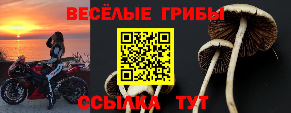 Галлюциногенные грибы мицелий  Вход с VPN  Баксан 